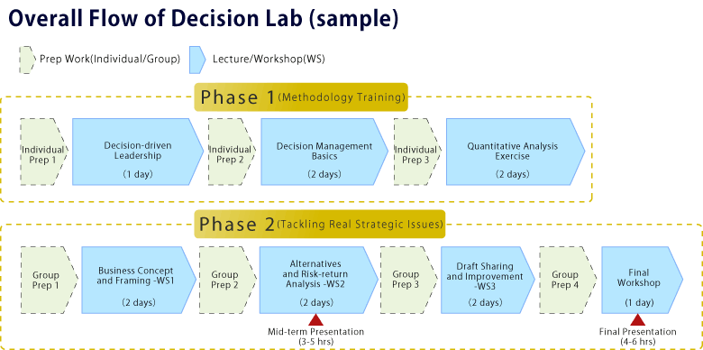 Overall Flow of Decision Lab